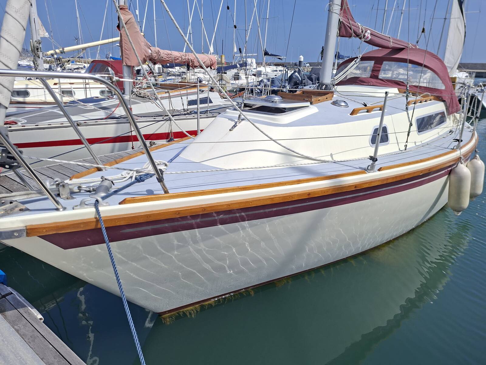 Westerly Griffon — photo 1
